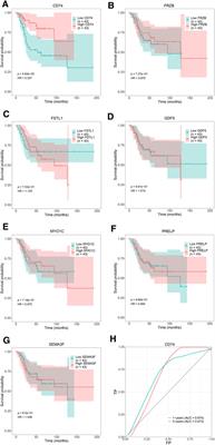 Integral Analyses of Competing Endogenous RNA Mechanisms and DNA Methylation Reveal Regulatory Mechanisms in Osteosarcoma